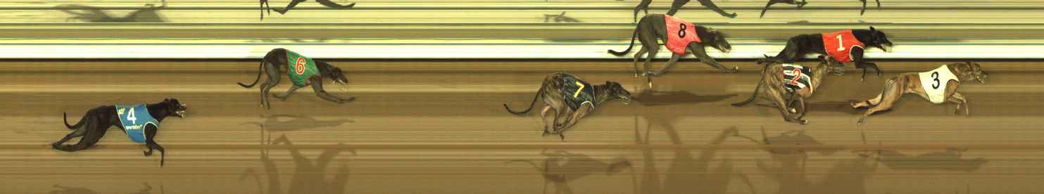 Photo finish for The Meadows Race 6
