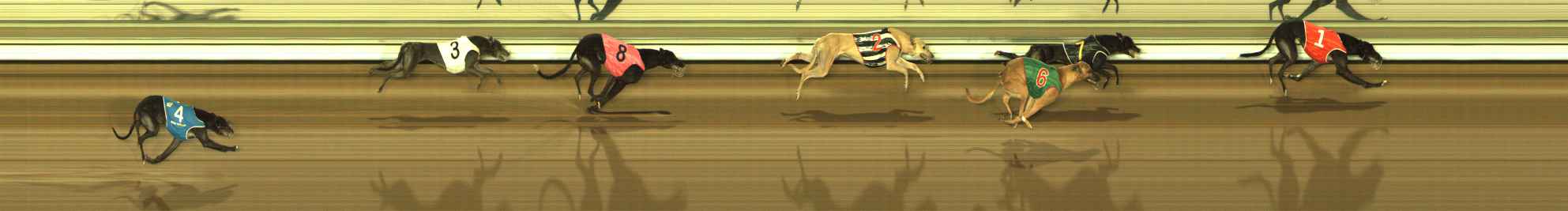Photo finish for The Meadows Race 7