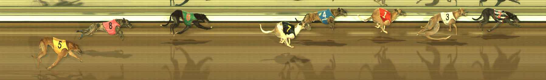 Photo finish for The Meadows Race 8
