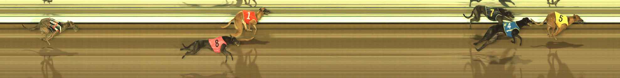 Photo finish for The Meadows Race 9
