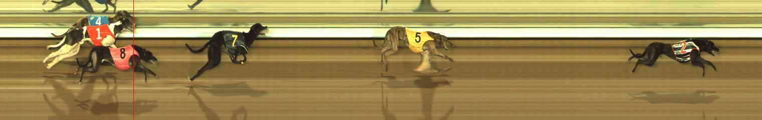 Photo finish for The Meadows Race 10