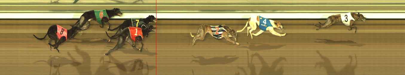 Photo finish for The Meadows Race 11