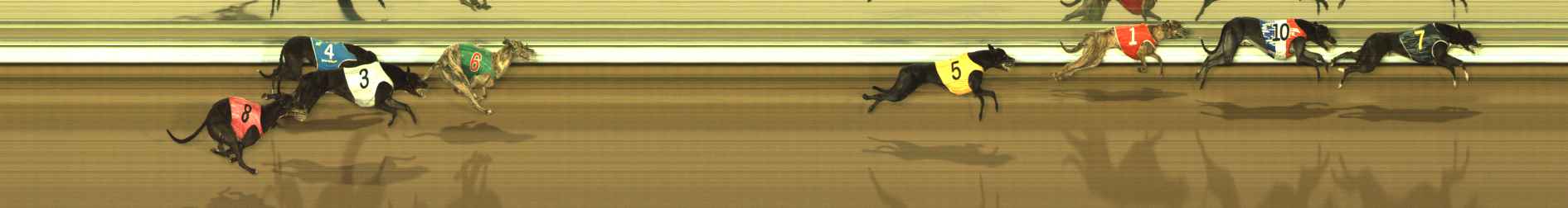 Photo finish for The Meadows Race 1