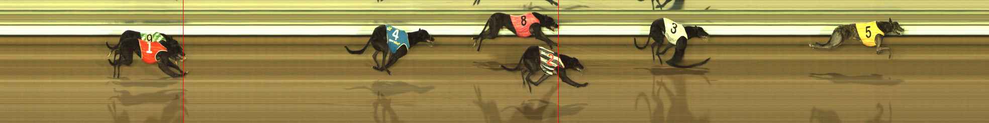 Photo finish for The Meadows Race 2