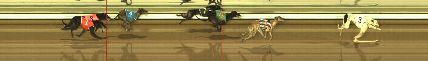 Photo finish for The Meadows Race 5