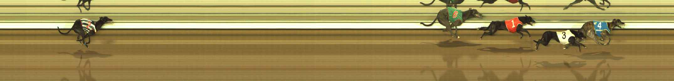 Photo finish for The Meadows Race 6