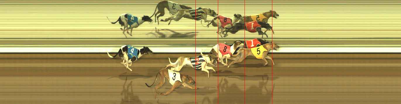 Photo finish for The Meadows Race 8