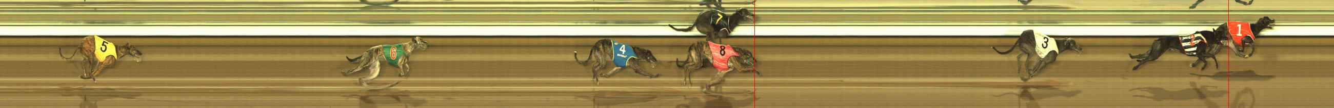 Photo finish for The Meadows Race 9