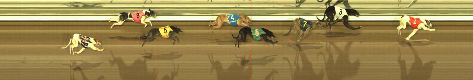 Photo finish for The Meadows Race 10