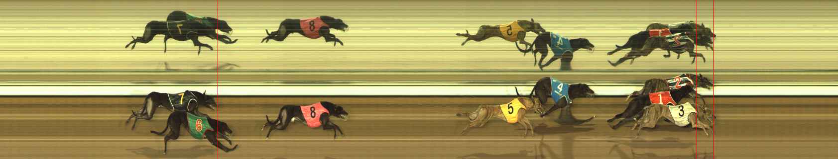 Photo finish for The Meadows Race 11