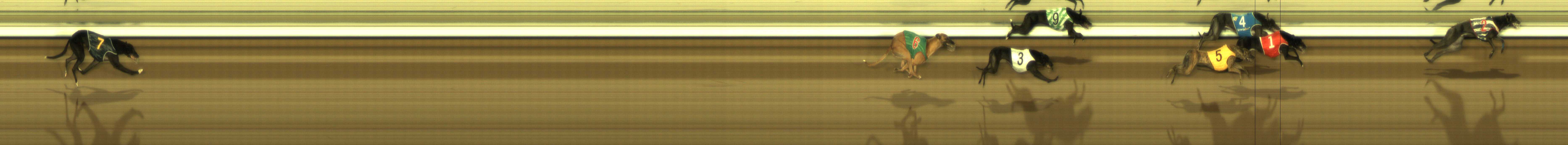 Photo finish for The Meadows Race 12