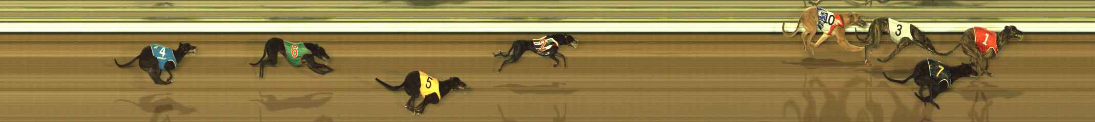 Photo finish for The Meadows Race 1