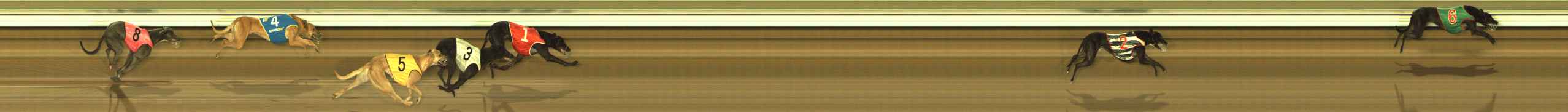Photo finish for The Meadows Race 2