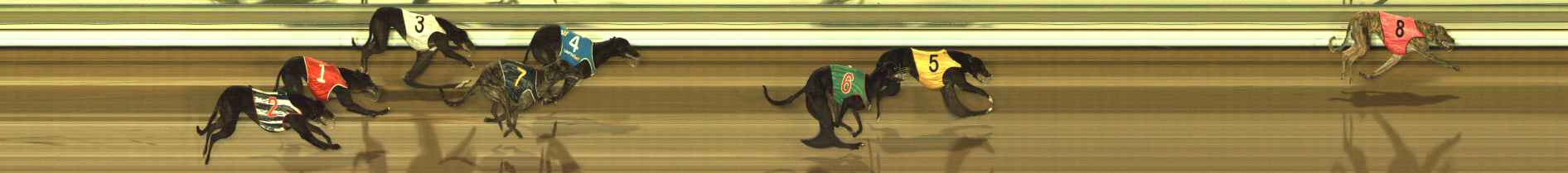 Photo finish for The Meadows Race 5