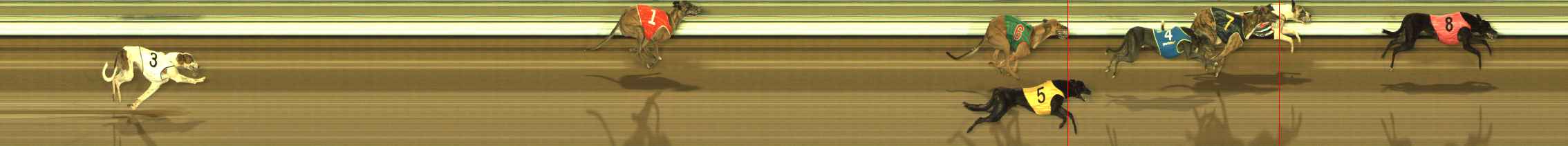 Photo finish for The Meadows Race 8
