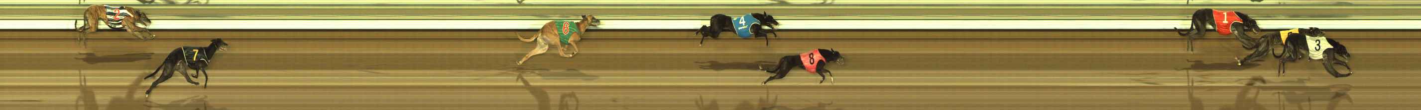 Photo finish for The Meadows Race 9