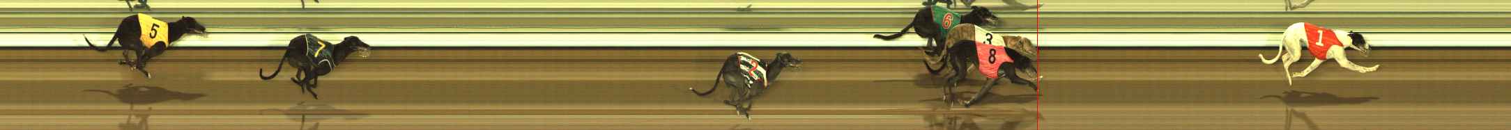 Photo finish for The Meadows Race 10