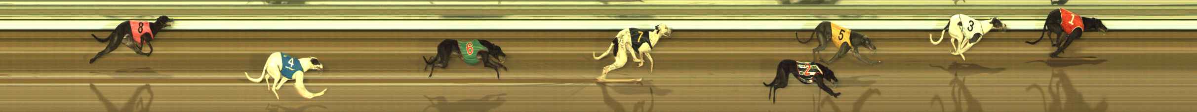 Photo finish for The Meadows Race 11