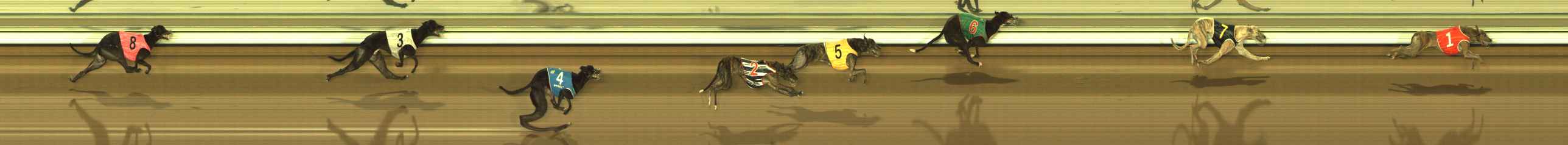 Photo finish for The Meadows Race 12