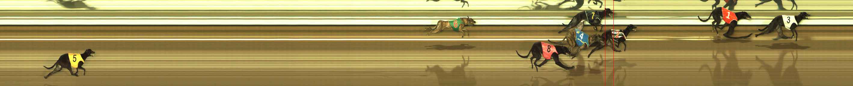 Photo finish for The Meadows Race 1