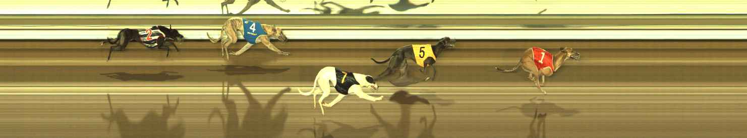 Photo finish for The Meadows Race 4