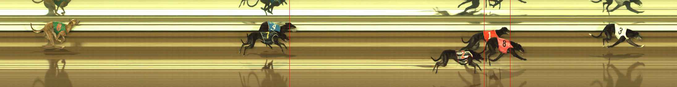 Photo finish for The Meadows Race 5