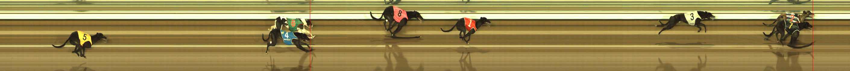 Photo finish for The Meadows Race 6