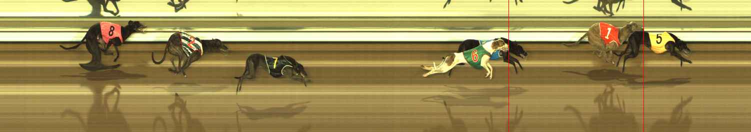Photo finish for The Meadows Race 8