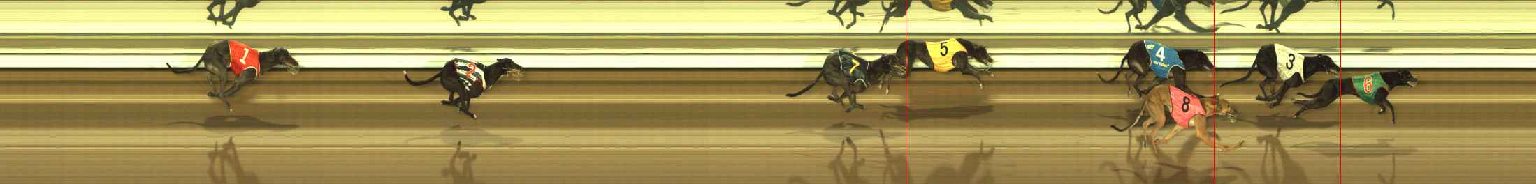 Photo finish for The Meadows Race 9