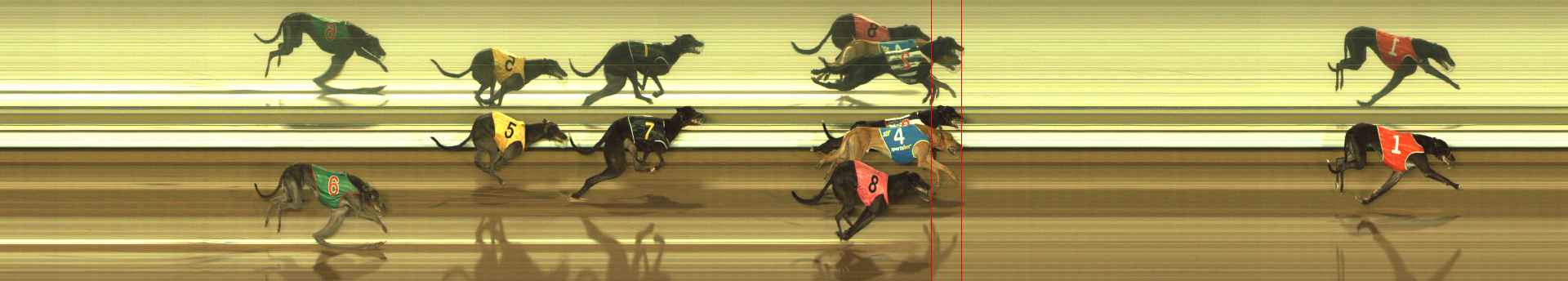 Photo finish for The Meadows Race 10