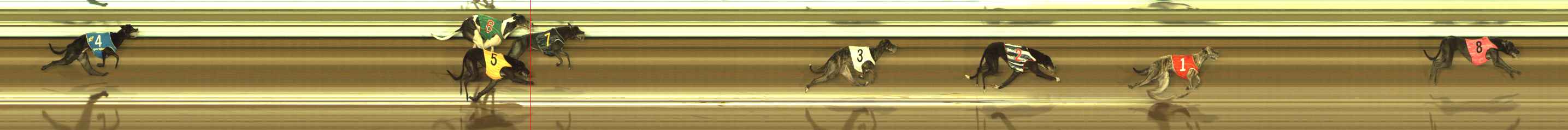 Photo finish for The Meadows Race 11