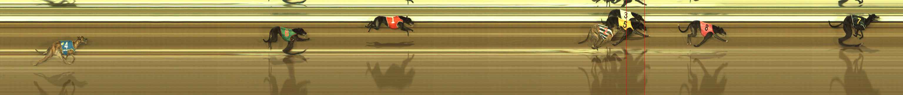 Photo finish for The Meadows Race 5