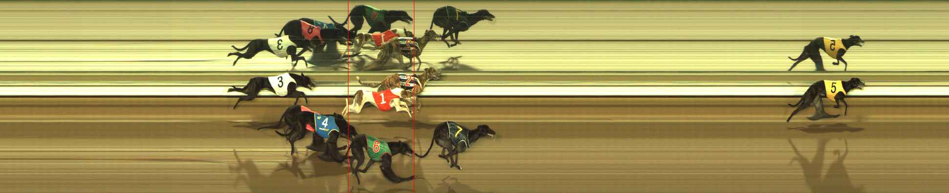 Photo finish for The Meadows Race 7