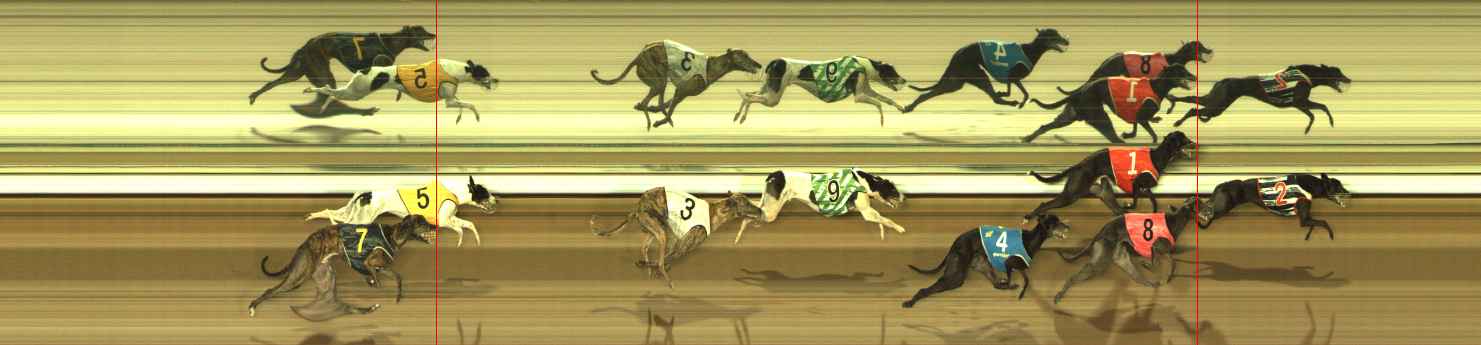 Photo finish for The Meadows Race 8