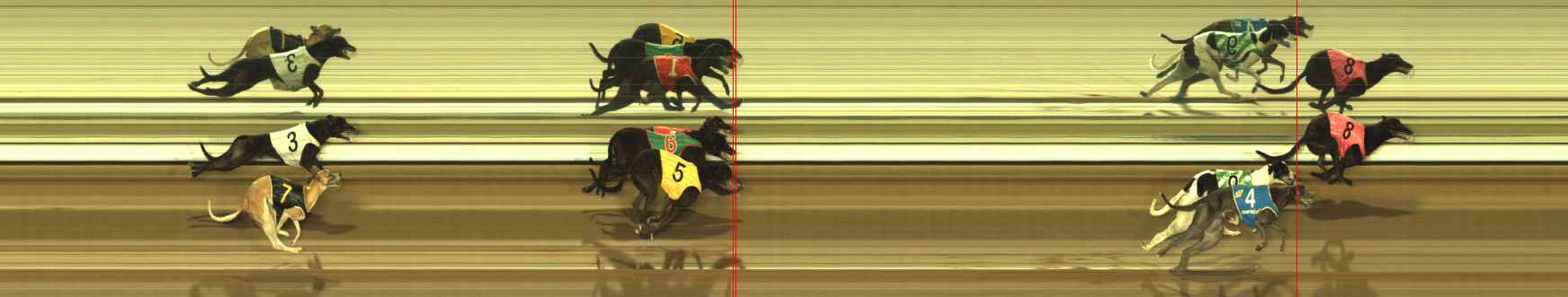 Photo finish for The Meadows Race 10
