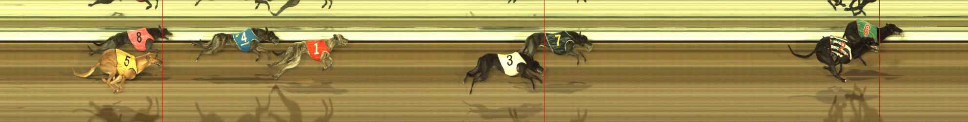 Photo finish for The Meadows Race 11
