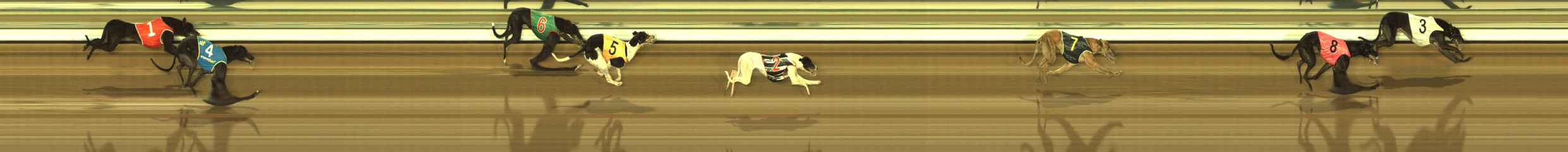 Photo finish for The Meadows Race 12