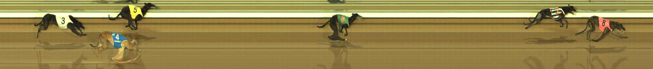 Photo finish for The Meadows Race 1