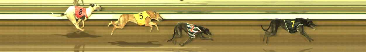 Photo finish for The Meadows Race 5