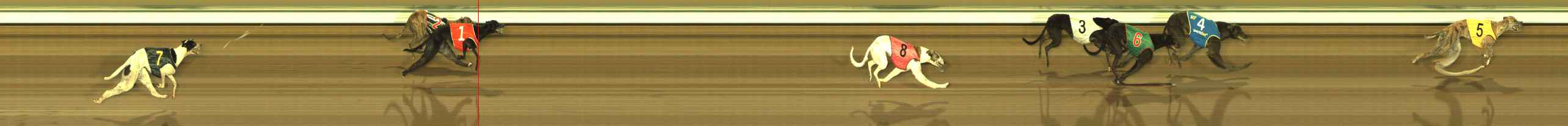 Photo finish for The Meadows Race 6