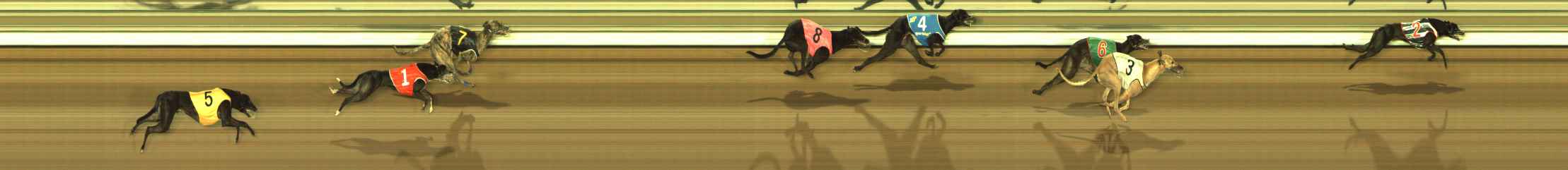 Photo finish for The Meadows Race 8