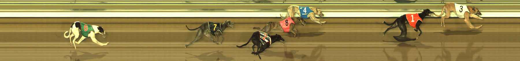 Photo finish for The Meadows Race 9