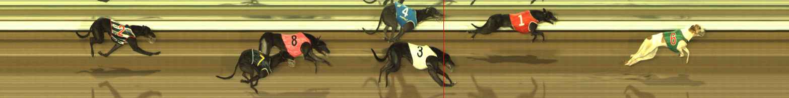 Photo finish for The Meadows Race 11