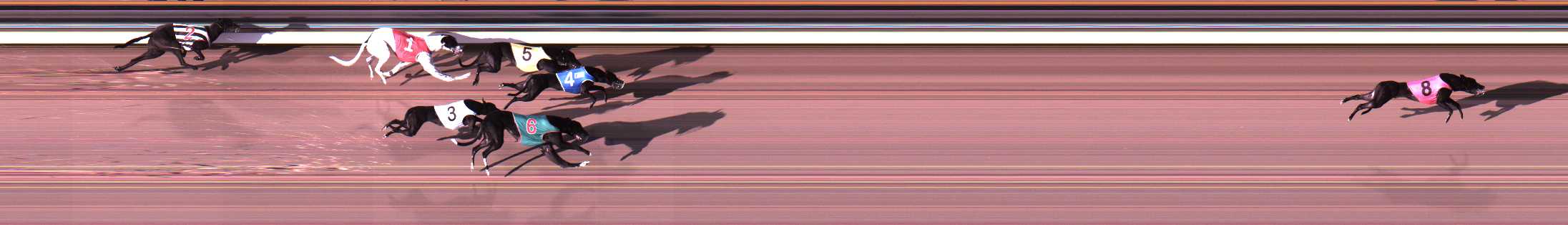 Photo finish for Traralgon Race 3