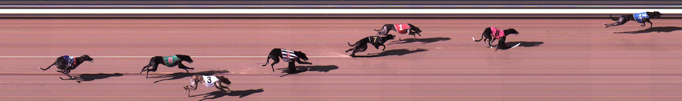 Photo finish for Traralgon Race 2