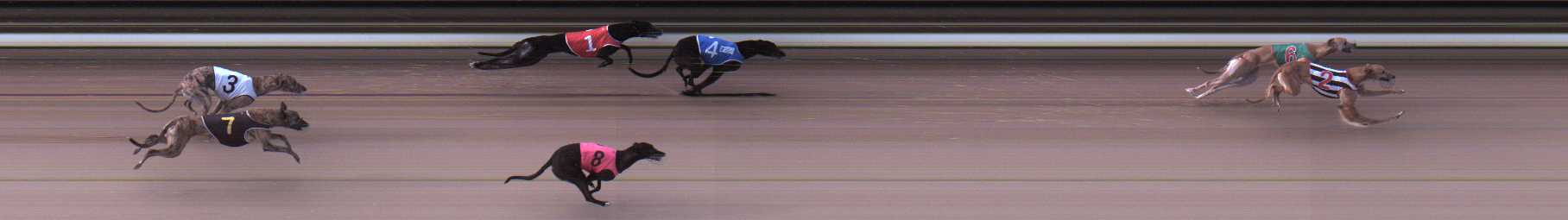Photo finish for Traralgon Race 1