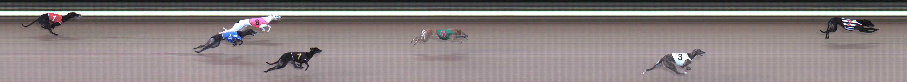 Photo finish for Traralgon Race 2
