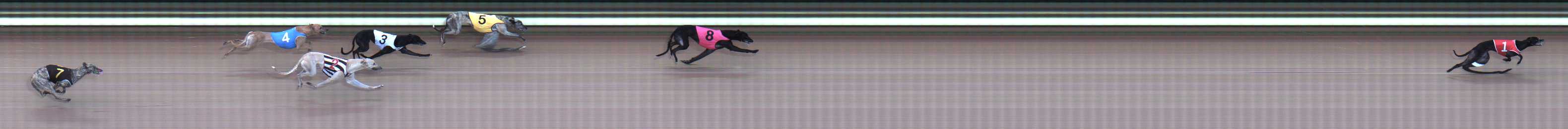 Photo finish for Traralgon Race 3