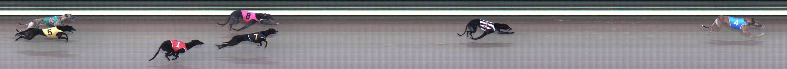 Photo finish for Traralgon Race 4