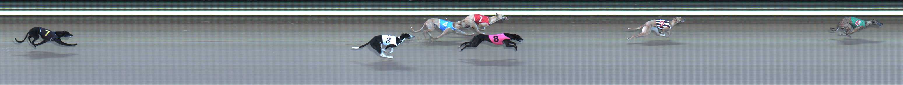 Photo finish for Traralgon Race 5